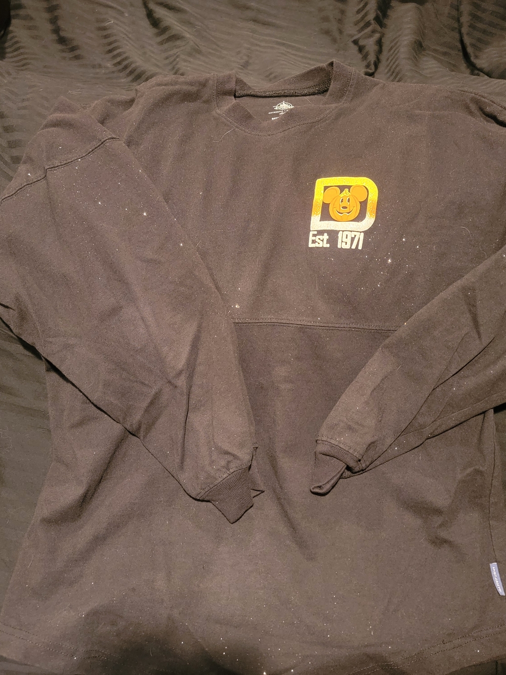 Halloween Disneyworld Spirit Jersey